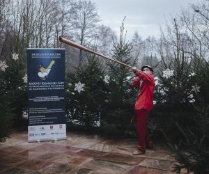 Ligawki 2017 - fotorelacja