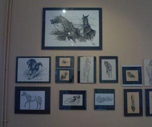 Z drugiej strony zielonego lustra Z drugiej strony zielonego lustra