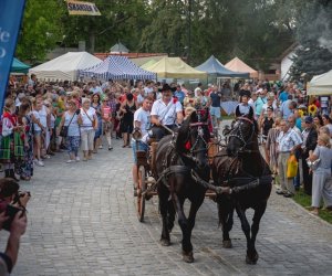 XIX Podlaskie Święto Chleba - fotorelacja