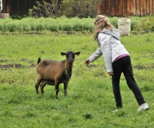 Wykopki w skansenie podsumowanie, fotorelacja. Wykopki w skansenie podsumowanie, fotorelacja.