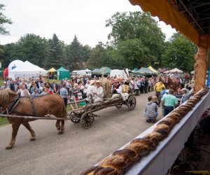 XVII Podlaskie Święto Chleba - fotorelacja XVII Podlaskie Święto Chleba - fotorelacja