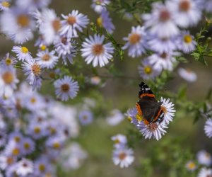 NIECOdziennik muzealny - Wieś w październiku NIECOdziennik muzealny - Wieś w październiku