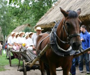 VIII PODLASKIE ŚWIĘTO CHLEBA
