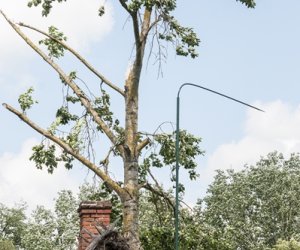 Nawałnica w ciechanowieckim muzeum Nawałnica w ciechanowieckim muzeum