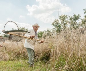 Święto Chleba po raz trzynasty Święto Chleba po raz trzynasty