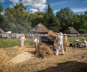 XVIII Podlaskie Święto Chleba - fotorelacja XVIII Podlaskie Święto Chleba - fotorelacja