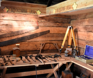 DZIAŁ HISTORII UPRAWY ROŚLIN I HODOWLI ZWIERZĄT DZIAŁ HISTORII UPRAWY ROŚLIN I HODOWLI ZWIERZĄT