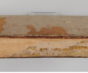 Przeprowadzenie prac konserwatorskich starodruków ze zbiorów działu weterynarii