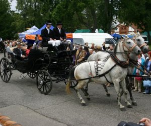 VIII PODLASKIE ŚWIĘTO CHLEBA