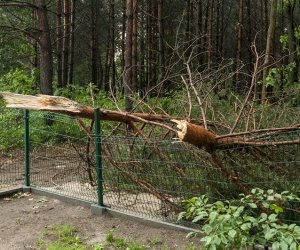 Nawałnica w ciechanowieckim muzeum Nawałnica w ciechanowieckim muzeum