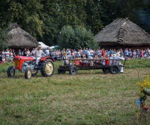 XVIII Podlaskie Święto Chleba - fotorelacja XVIII Podlaskie Święto Chleba - fotorelacja