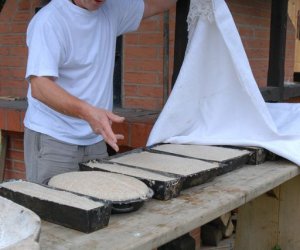 VIII PODLASKIE ŚWIĘTO CHLEBA VIII PODLASKIE ŚWIĘTO CHLEBA