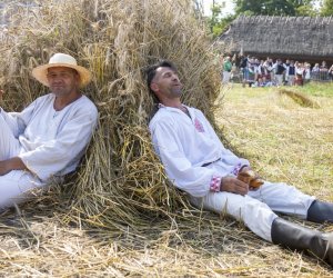 XX Podlaskie Święto Chleba - fotorelacja XX Podlaskie Święto Chleba - fotorelacja