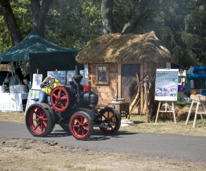 Piknik "Poznaj Zdrową Żywność" - fotorelacja