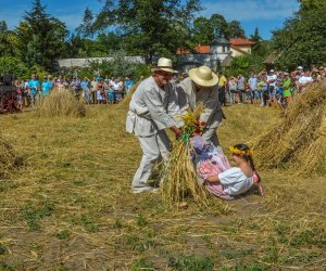 XV Podlaskie Święta Chleba w Muzeum Rolnictwa im. ks. Krzysztofa Kluka w Ciechanowcu XV Podlaskie Święta Chleba w Muzeum Rolnictwa im. ks. Krzysztofa Kluka w Ciechanowcu