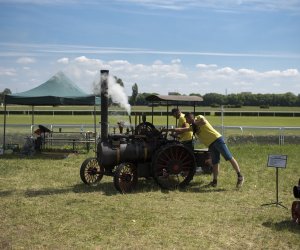 Piknik "Poznaj Zdrową Żywność" - fotorelacja