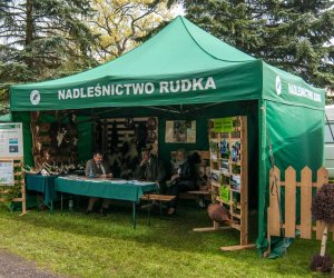 Jarmark św. Wojciecha i Święto Lasu Jarmark św. Wojciecha i Święto Lasu