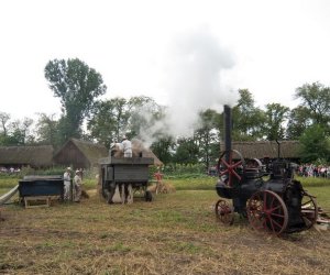 XVII Podlaskie Święto Chleba - fotorelacja XVII Podlaskie Święto Chleba - fotorelacja