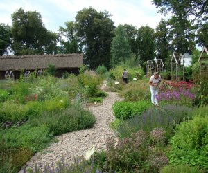 DZIAŁ TRADYCJI ZIELARSKICH DZIAŁ TRADYCJI ZIELARSKICH