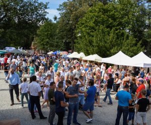 XVIII Podlaskie Święto Chleba - fotorelacja XVIII Podlaskie Święto Chleba - fotorelacja