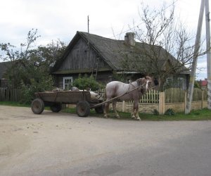 Międzynarodowa konferencja w Mińsku Białoruskim