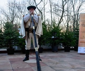 Galeria z 5 grudnia 2015 Galeria z 5 grudnia 2015