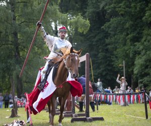 14 Zajazd Wysokomazowiecki - fotorelacja