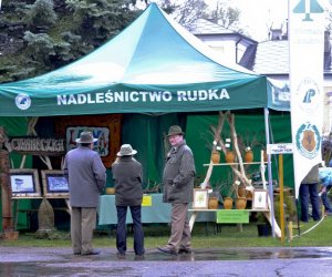 Deszczowy Jarmark Deszczowy Jarmark