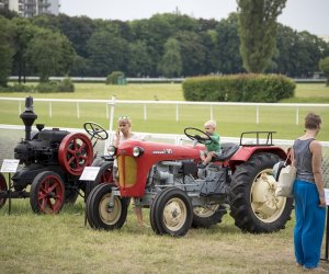 Piknik "Poznaj Zdrową Żywność" - fotorelacja