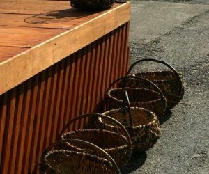 Wykopki w skansenie 2009