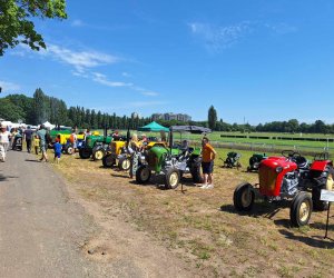 "Piknik Poznaj Dobrą Żywność" - Służewiec - 26 maja 2024 r. "Piknik Poznaj Dobrą Żywność" - Służewiec - 26 maja 2024 r.