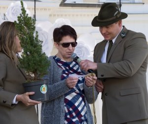 Jarmark św. Wojciecha 2018 - fotorelacja Jarmark św. Wojciecha 2018 - fotorelacja