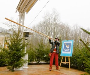 Galeria z 6 grudnia 2014 Galeria z 6 grudnia 2014