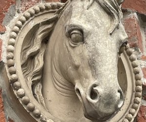 NIECOdziennik Muzealny- Na koń! Hrabia Starzeński i sztuka jazdy konnej