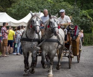 XVI Podlaskie Święto Chleba XVI Podlaskie Święto Chleba