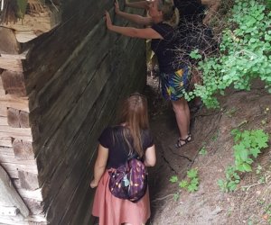 Tłoka ciesielska w Muzeum Rolnictwa w Ciechanowcu Tłoka ciesielska w Muzeum Rolnictwa w Ciechanowcu