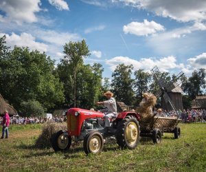 XVIII Podlaskie Święto Chleba - fotorelacja XVIII Podlaskie Święto Chleba - fotorelacja