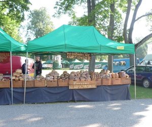 IX Podlaskie Święto Chleba IX Podlaskie Święto Chleba