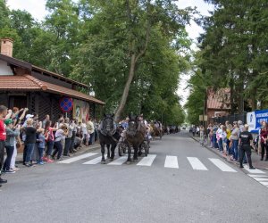 XVI Podlaskie Święto Chleba XVI Podlaskie Święto Chleba