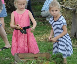 XVI Podlaskie Święto Chleba XVI Podlaskie Święto Chleba