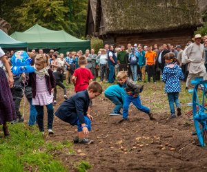 Jesień w polu i zagrodzie Jesień w polu i zagrodzie