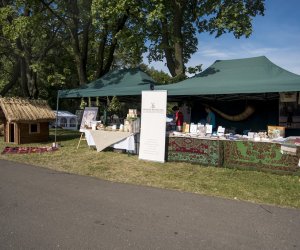 Piknik "Poznaj Zdrową Żywność" - fotorelacja