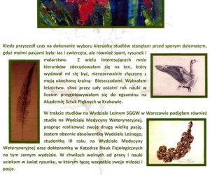 Z drugiej strony zielonego lustra Z drugiej strony zielonego lustra