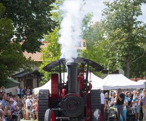 XXII Podlaskie Święto Chleba - fotorelacja
