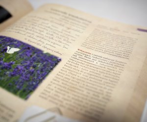 Zażycie Roślin Lekarskie, czyli wiadomość dla miłośników tradycyjnego ziołolecznictwa Zażycie Roślin Lekarskie, czyli wiadomość dla miłośników tradycyjnego ziołolecznictwa