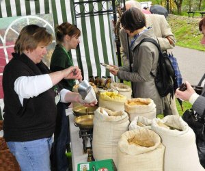 JARMARK ŚW. WOJCIECHA