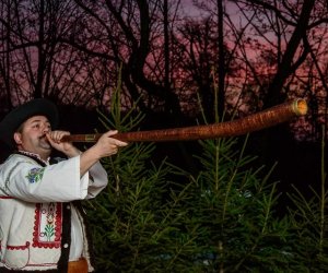 Galeria z 5 grudnia 2015 Galeria z 5 grudnia 2015