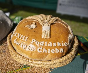 Muzeum Rolnictwa po raz kolejny na Pikniku Poznaj Dobrą Żywność Muzeum Rolnictwa po raz kolejny na Pikniku Poznaj Dobrą Żywność