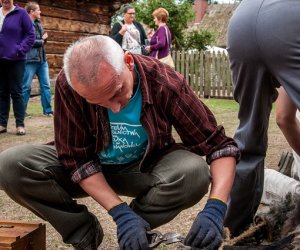 Jesień w polu i zagrodzie Jesień w polu i zagrodzie