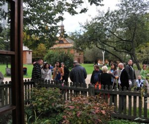 Wykopki w Skansenie Wykopki w Skansenie